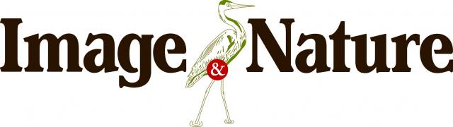 Logo Image et Nature