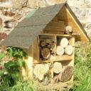 Maison abeilles