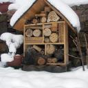 Hôtel à abeilles sauvages sous la neige