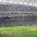 Watch Hanshin Tigers vs Chiba Lotte Marines Live Japan Pro Yakyu  NPB