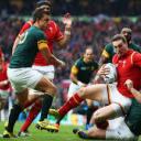 (((Watch/free))) Wales vs Argentina Live -RugbY