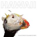 [MP3]  Collections of Colonies of Bees - Hawaii  RAR album download