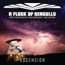 {ZIP & Torrent}  A Flock of Seagulls - Ascension 2018 download