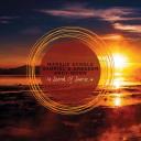[Full Album}  Markus Schulz, Gabriel & Dresden & Andy Moor - In Search of Sunrise 14  ZIP Album Download