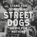 [MP3]   Street Dogs - Stand For Something Or Die For Nothing (2018) free album