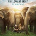 reGarder||HD, Love & Bananas: An Elephant Story streaming vf 2017, - [Français] [film]