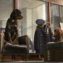 Putlocker##Watch Show Dogs full movie download 720p -